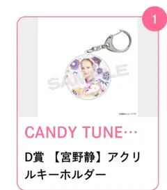 CANDY TUNE 宮野静グッズまとめ売り CANDY TUNE 宮野静グッズまとめ売り CANDY TUNE きゃんちゅーと