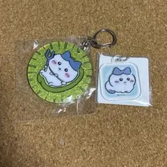 ちいかわ　　アクキー　　ハチワレ