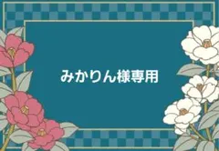 みかりん様専用ページ