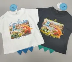 恐竜　90 　2枚セット　新品