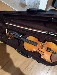 Eastman Strings VL80 バイオリン 4/4 ケース、弓、松脂付 - メルカリ