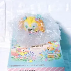 2025年最新】カムファインドスプリング クッキーアンの人気アイテム