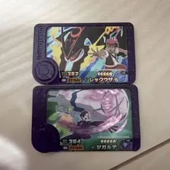 ポケモンフレンダ　レックウザ　ジガルデ