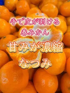 専用出品 ナモコア様 5kg - メルカリ