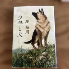 少年と犬