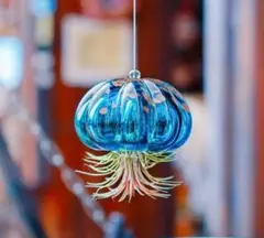 せな様専用♡エアープランツ　グラス