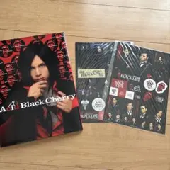Acid Black Cherry 写真集 - メルカリ