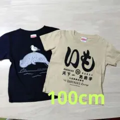 北海道　Tシャツ　100cm　セット　匿名配送のサムネイル