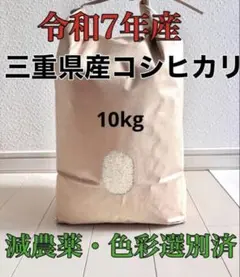 令和7年度鹿児島県産コシヒカリ（精米済10キロ） - メルカリ