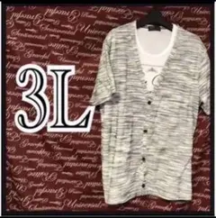 【sale!】3L・カーディガン×Tシャツセット新品/MCAa906-207