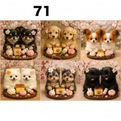 新柄‼️犬柄【71】パネル生地