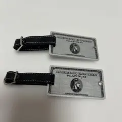 Item thumbnail for item 4c811d0d-7ab0-49a8-9398-cd56a1b8fa74