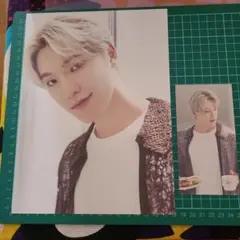 SEVENTEEN 2024 SEASON'S GREETINGS DINO