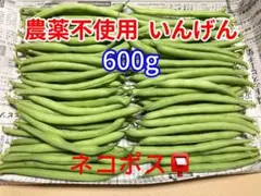 農薬不使用 いんげんのサムネイル