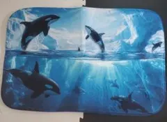 シャチ　マット　A