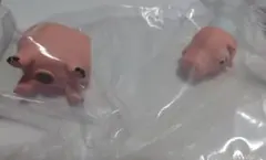 ならぶんです。　トイストーリー