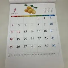 Item thumbnail for item 55d89b4d-e3d1-46a8-871a-1c2c69af3c60