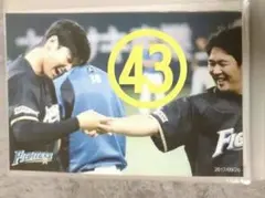 大谷翔平 2017 ハイライトフォト ㊸ 日本ハム 球団公式写真 エンゼルス