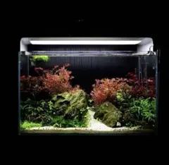 【手渡し限定】45cmスリム水槽 フルセット（エーハイム2211・LEDライト付 手渡し限定】45cmスリム水槽 フルセット（エーハイム2211・LEDライト付