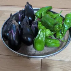 新鮮な茄子とピーマンのコンパクトボックス詰め合わせのサムネイル