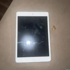 Apple iPad 本体 ケース付き