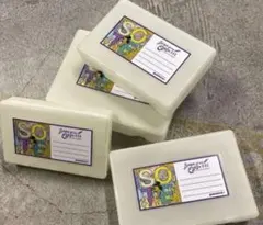 Item thumbnail for item 39b88997-8cce-44d2-88a9-ec22a4e8246d