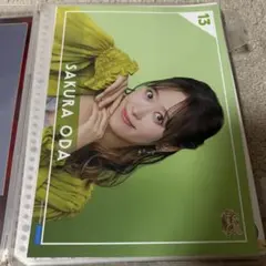 Item thumbnail for item 98a75447-f3e6-4a7a-a57f-e699a9054195