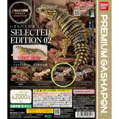 いきもの大図鑑アドバンス レオパードゲッコー （バンディット）