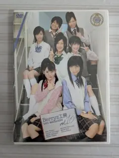 チワプーこんちゃん様 リクエスト 2点 まとめ商品