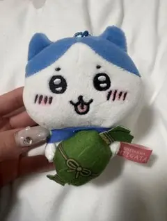 ご当地　ハチワレ　新潟