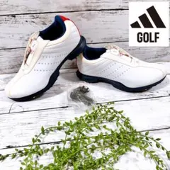 2026年最新】adidas golf ゴルフ シューズ(女性用)の人気アイテム