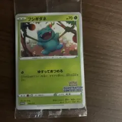 フシギダネ：Pokémon Trading Card Game イラストレーシ…