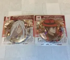 家庭教師ヒットマンREBORN ホログラム缶バッジ　スクアーロ　ザンザス