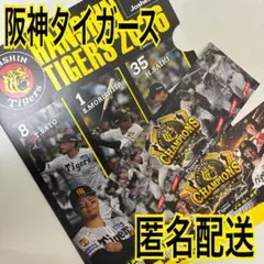 阪神タイガース 2026 Joshin 紙ファイルとステッカーシール2枚セット