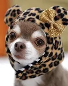 Item thumbnail for item 33b5b21c-797d-4c67-a0cd-e05cf655a507