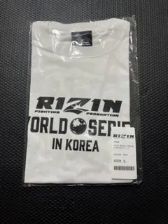 Item thumbnail for item 4d363ea1-c14c-408c-a192-4ebb3ae4c9e8