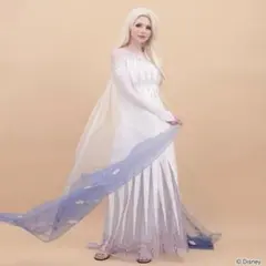 シークレットハニー エルサ スカート 楽天市場】☆レースバッスルスカート7/29 12:00 再マークダウン