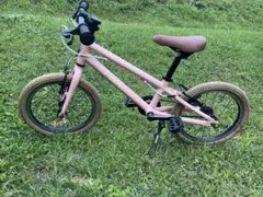 ビアンキ　ピラータ　16インチ　ピンク 横浜】大人気！子供用スポーツバイク 「PIRATA16″」入荷しており