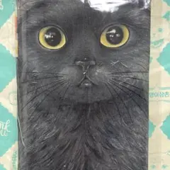 コヤンイサムチョン　赤ちゃん猫と友達　ファブリック　Vol.７