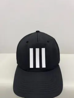 Item thumbnail for item 694730d7-04a0-4982-8772-32557751b774