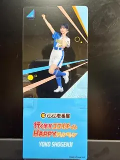 2026年最新】メンバー名：正源司陽子 坂道シリーズ アクリルスタンドの