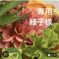 専用ページ 緑子様③