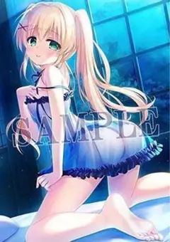 中古品 風真いろは タペストリー 7点セット ホロライブ グッズ