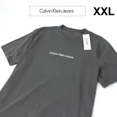 Calvin Kleinカルバンクライン【センターロゴ】Tシャツ/CT57XXL