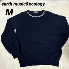 Item thumbnail for item 0a8ef9ba-b437-490c-821f-e2bbd37f5f36