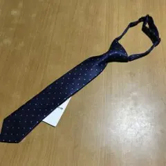 Item thumbnail for item 8154f015-be07-49b3-9cea-9f9cd24a5538