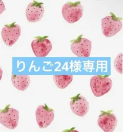 りんご24様専用☺︎