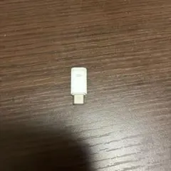 Lightning Type-C 変換アダプタ