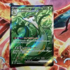 せいろん様 リクエスト 2点 まとめ商品