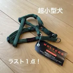 Item thumbnail for item be396e03-1f61-4d86-b7b7-3d8da70070b0